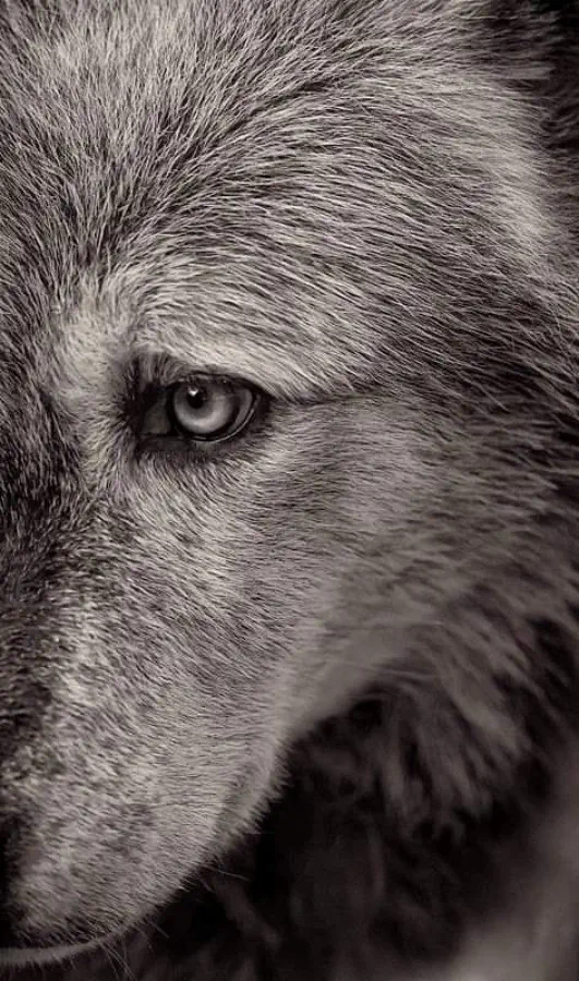 Una mirada