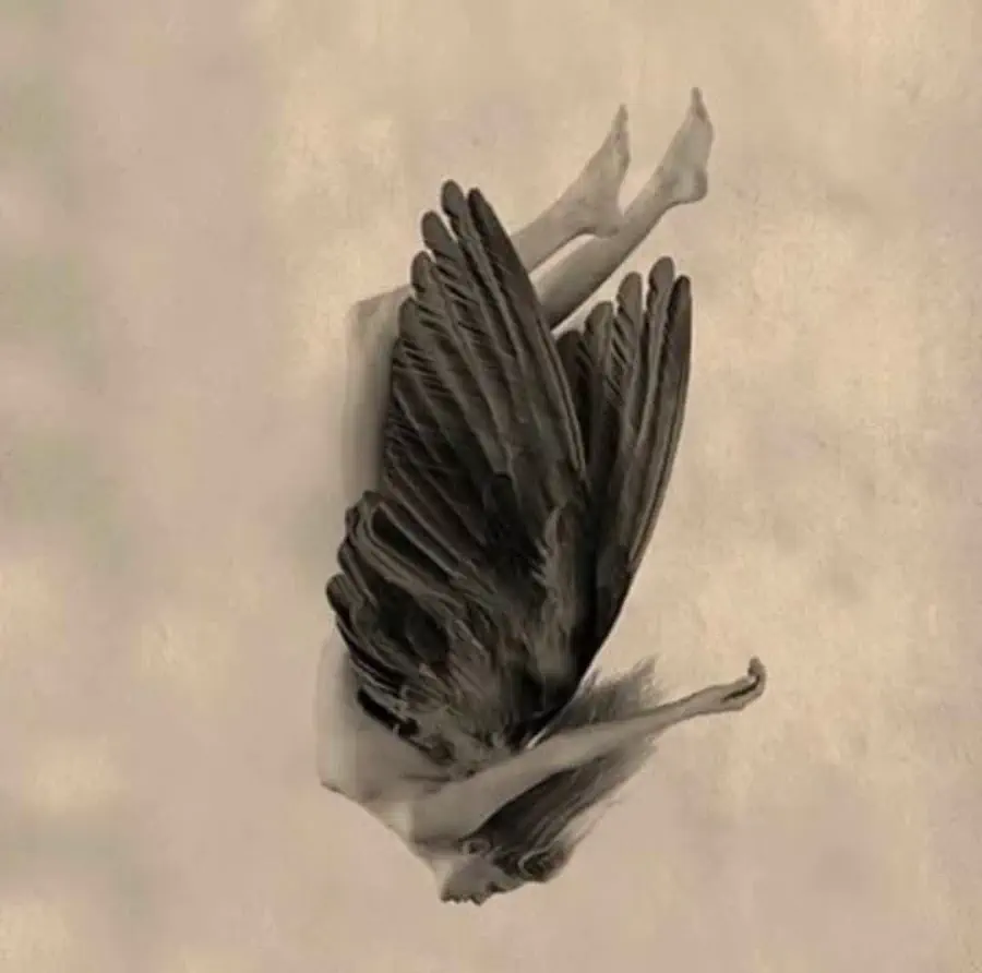 Giovanni Gastel, Fallen Angel Series