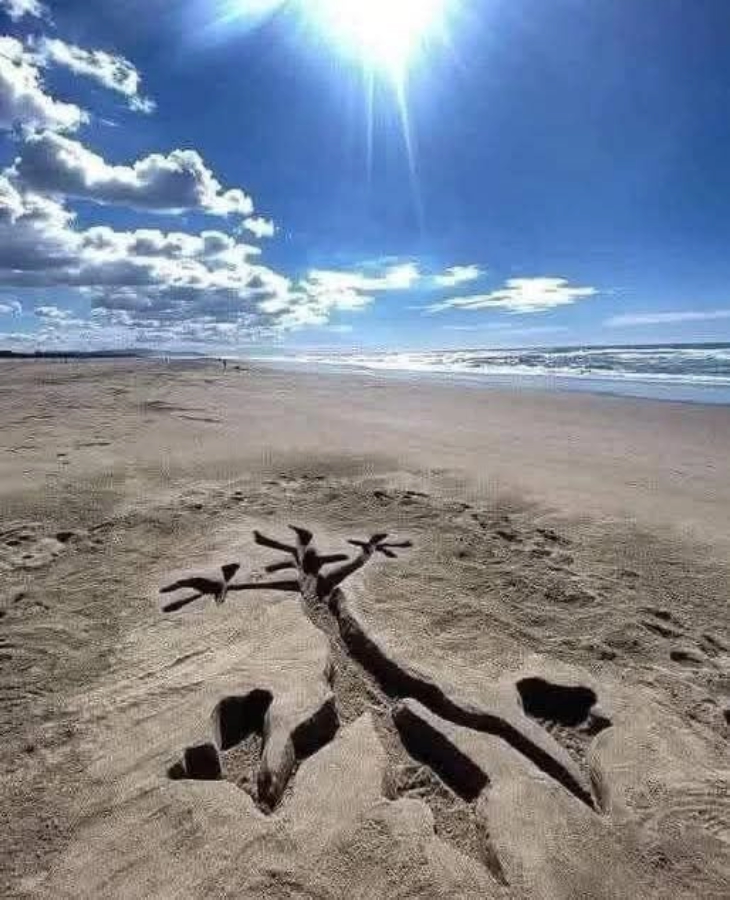 Lunes soleado